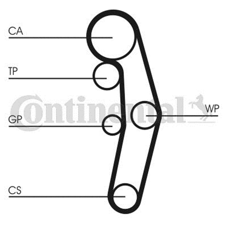 Conti Wasserpumpe Zahnriemensatz Audi A4 Ford Galaxy Seat Alhambra Skoda Superb VW Conti Wasserpumpe Zahnriemensatz Audi A4 Ford Galaxy Seat Alhambra Skoda Superb VW von CONTINENTAL CTAM