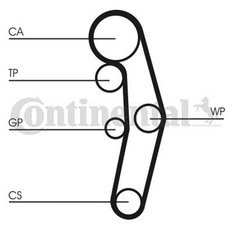 Conti Wasserpumpe Zahnriemensatz Audi A4 Ford Galaxy Seat Alhambra Skoda Superb VW von CONTINENTAL CTAM