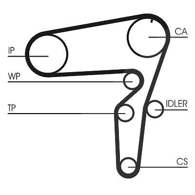 Continental Ctam Zahnriemen [Hersteller-Nr. CT1076] für Alfa Romeo, Fiat, Lancia von CONTINENTAL CTAM