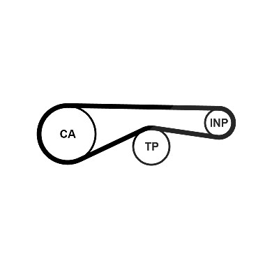 Continental Ctam Zahnriemen [Hersteller-Nr. CT1194] für Audi, VW von CONTINENTAL CTAM