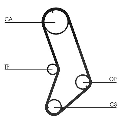 Continental Ctam Zahnriemen [Hersteller-Nr. CT647] für Citroën, Fiat, Lancia, Peugeot, Renault, Yugo, Zastava von CONTINENTAL CTAM