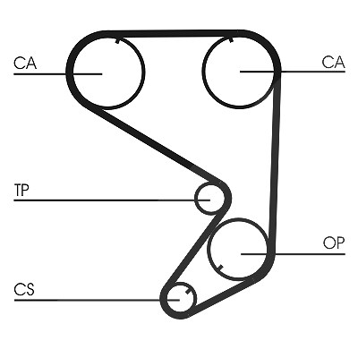 Continental Ctam Zahnriemen [Hersteller-Nr. CT652] für Abarth, Fiat, Lancia, Pininfarina von CONTINENTAL CTAM