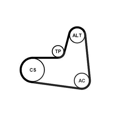 Continental Ctam Keilrippenriemensatz [Hersteller-Nr. 6PK1005K1] für Audi, Cupra, Seat, Skoda, VW von CONTINENTAL CTAM