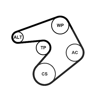 Continental Ctam Keilrippenriemensatz [Hersteller-Nr. 6PK1205K1] für Opel von CONTINENTAL CTAM
