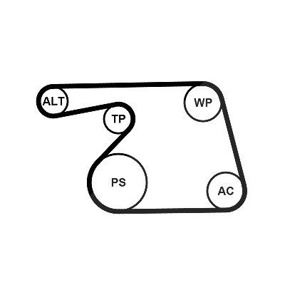 Continental Ctam Wasserpumpe + Keilrippenriemensatz [Hersteller-Nr. 6PK1318WP1] für Fiat, Opel, Suzuki, Vauxhall von CONTINENTAL CTAM
