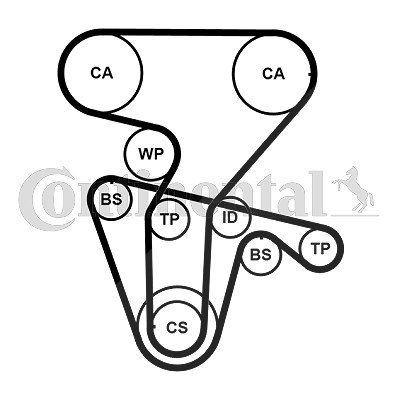 Continental Ctam Zahnriemensatz [Hersteller-Nr. CT877K5PRO] für Alfa Romeo, Fiat, Lancia von CONTINENTAL CTAM