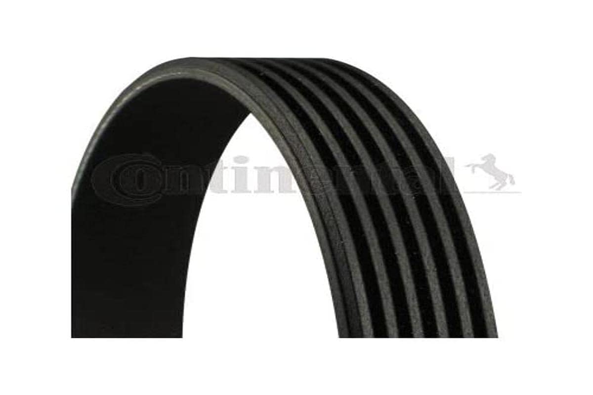 CONTITECH 6PK780 ELAST Keilrippenriemen CONTITECH 6PK780 ELAST Keilrippenriemen von CONTITECH