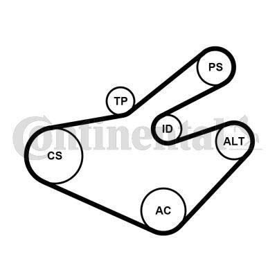 CONTITECH 7PK1795K1 Keilrippenriemensatz CONTITECH 7PK1795K1 Keilrippenriemensatz von CONTITECH
