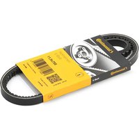 CONTITECH Keilriemen Länge: 755mm 11,5X755Ld VW,FORD,SEAT,GOLF III (1H1),Golf III Cabrio (1E7),SHARAN (7M8, 7M9, 7M6),PASSAT Variant (3A5, 35I) CONTITECH Keilriemen Länge: 755mm 11,5X755Ld VW,FORD,SEAT,GOLF III (1H1),Golf III Cabrio (1E7),SHARAN (7M8, 7M9, 7M6),PASSAT Variant (3A5, 35I) von CONTITECH