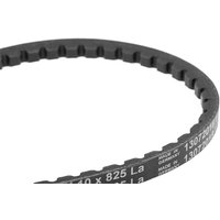 CONTITECH Keilriemen Länge: 825mm AVX10X825  VW,AUDI,MERCEDES-BENZ,GOLF I Cabriolet (155),GOLF I (17),Passat Variant (33B),PASSAT (32B),SCIROCCO (53) von CONTITECH