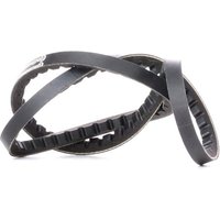 CONTITECH Keilriemen Länge: 888mm AVX10X888 AUDI,OPEL,BMW,80 Limousine (8C2, B4),80 (89, 89Q, 8A, B3),Cabriolet (8G7, B4),80 Avant (8C5, B4) CONTITECH Keilriemen Länge: 888mm AVX10X888 AUDI,OPEL,BMW,80 Limousine (8C2, B4),80 (89, 89Q, 8A, B3),Cabriolet (8G7, B4),80 Avant (8C5, B4) von CONTITECH