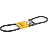 CONTITECH Keilriemen Länge: 940mm AVX10X940 VW,AUDI,MERCEDES-BENZ,GOLF I Cabriolet (155),GOLF II (19E, 1G1),GOLF I (17),SCIROCCO (53B) CONTITECH Keilriemen Länge: 940mm AVX10X940 VW,AUDI,MERCEDES-BENZ,GOLF I Cabriolet (155),GOLF II (19E, 1G1),GOLF I (17),SCIROCCO (53B) von CONTITECH