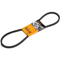 CONTITECH Keilriemen Länge: 1025mm AVX13X1025 VW,AUDI,MERCEDES-BENZ,GOLF I Cabriolet (155),GOLF II (19E, 1G1),GOLF I (17),SCIROCCO (53B) CONTITECH Keilriemen Länge: 1025mm AVX13X1025 VW,AUDI,MERCEDES-BENZ,GOLF I Cabriolet (155),GOLF II (19E, 1G1),GOLF I (17),SCIROCCO (53B) von CONTITECH