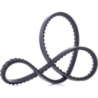 CONTITECH Keilriemen Länge: 1050mm AVX13X1050  VW,AUDI,BMW,Transporter IV Bus (70B, 70C, 7DB, 7DK, 70J, 70K, 7DC, 7DJ),GOLF I Cabriolet (155) von CONTITECH