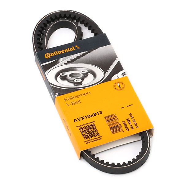 CONTITECH Keilriemen VW,AUDI,OPEL AVX10X813 GCB10813,33402327,3991260 X039652540,71803371,AAE3550,13H8389,4306859,116100210300,2A414,GFB185,90444486 CONTITECH Keilriemen VW,AUDI,OPEL AVX10X813 GCB10813,33402327,3991260 X039652540,71803371,AAE3550,13H8389,4306859,116100210300,2A414,GFB185,90444486 von CONTITECH