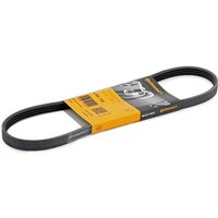 CONTITECH Keilrippenriemen 4PK735 Rippenriemen FORD,RENAULT,CHEVROLET,MONDEO III Kombi (BWY),MONDEO III (B5Y),MONDEO III Stufenheck (B4Y) CONTITECH Keilrippenriemen 4PK735 Rippenriemen FORD,RENAULT,CHEVROLET,MONDEO III Kombi (BWY),MONDEO III (B5Y),MONDEO III Stufenheck (B4Y) von CONTITECH