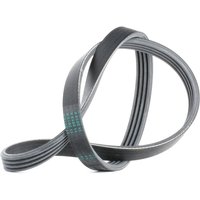 CONTITECH Keilrippenriemen 4PK775 Rippenriemen OPEL,BMW,RENAULT,Omega B Limousine (V94),Omega B Caravan (V94),5 Limousine (E39),3 Limousine (E36) CONTITECH Keilrippenriemen 4PK775 Rippenriemen OPEL,BMW,RENAULT,Omega B Limousine (V94),Omega B Caravan (V94),5 Limousine (E39),3 Limousine (E36) von CONTITECH