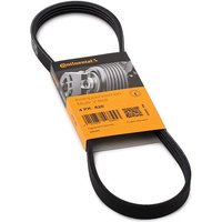 CONTITECH Keilrippenriemen 4PK820 Rippenriemen HYUNDAI,TOYOTA,NISSAN,GETZ (TB),ACCENT I (X-3),COROLLA Liftback (_E11_),STARLET (EP91),AVENSIS (_T22_) CONTITECH Keilrippenriemen 4PK820 Rippenriemen HYUNDAI,TOYOTA,NISSAN,GETZ (TB),ACCENT I (X-3),COROLLA Liftback (_E11_),STARLET (EP91),AVENSIS (_T22_) von CONTITECH