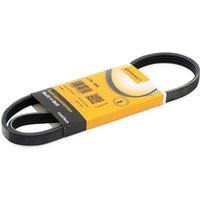 CONTITECH Keilrippenriemen 4PK885 Rippenriemen OPEL,BMW,RENAULT,Astra G CC (T98),Astra G Caravan (T98),Astra G Limousine (T98),ASTRA G Kasten (F70) CONTITECH Keilrippenriemen 4PK885 Rippenriemen OPEL,BMW,RENAULT,Astra G CC (T98),Astra G Caravan (T98),Astra G Limousine (T98),ASTRA G Kasten (F70) von CONTITECH