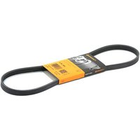 CONTITECH Keilrippenriemen 4PK890 Rippenriemen AUDI,BMW,FIAT,80 Limousine (8C2, B4),80 (89, 89Q, 8A, B3),Cabriolet (8G7, B4),80 Avant (8C5, B4) CONTITECH Keilrippenriemen 4PK890 Rippenriemen AUDI,BMW,FIAT,80 Limousine (8C2, B4),80 (89, 89Q, 8A, B3),Cabriolet (8G7, B4),80 Avant (8C5, B4) von CONTITECH