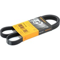 CONTITECH Keilrippenriemen 5PK1145 Rippenriemen FORD,FIAT,MITSUBISHI,KA (RU8),Fiesta Mk4 Schrägheck (JAS, JBS),Escort VI Schrägheck (GAL, AAL, ABL) CONTITECH Keilrippenriemen 5PK1145 Rippenriemen FORD,FIAT,MITSUBISHI,KA (RU8),Fiesta Mk4 Schrägheck (JAS, JBS),Escort VI Schrägheck (GAL, AAL, ABL) von CONTITECH