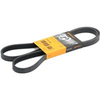 CONTITECH Keilrippenriemen 5PK1546 Rippenriemen OPEL,FIAT,SUZUKI,Corsa D Schrägheck (S07),ZAFIRA B (A05),Meriva A (X03),Astra H Schrägheck (A04) CONTITECH Keilrippenriemen 5PK1546 Rippenriemen OPEL,FIAT,SUZUKI,Corsa D Schrägheck (S07),ZAFIRA B (A05),Meriva A (X03),Astra H Schrägheck (A04) von CONTITECH