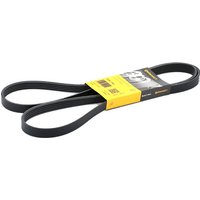 CONTITECH Keilrippenriemen 5PK1745 Rippenriemen MERCEDES-BENZ,HYUNDAI,KIA,A-Klasse (W169),B-Klasse (W245),A-Klasse (W176),B-Klasse (W246, W242) CONTITECH Keilrippenriemen 5PK1745 Rippenriemen MERCEDES-BENZ,HYUNDAI,KIA,A-Klasse (W169),B-Klasse (W245),A-Klasse (W176),B-Klasse (W246, W242) von CONTITECH
