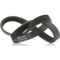 CONTITECH Keilrippenriemen 5PK736 Rippenriemen CITROËN,LAND ROVER,PORSCHE,XM (Y4),XM (Y3),XM Break (Y4),XM Break (Y3),Freelander SUV (L314) von CONTITECH