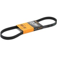 CONTITECH Keilrippenriemen 5PK906 Rippenriemen BMW,FIAT,HYUNDAI,5 Limousine (E39),3 Cabrio (E36),3 Limousine (E36),Z3 Roadster (E36),5 Touring (E39) CONTITECH Keilrippenriemen 5PK906 Rippenriemen BMW,FIAT,HYUNDAI,5 Limousine (E39),3 Cabrio (E36),3 Limousine (E36),Z3 Roadster (E36),5 Touring (E39) von CONTITECH