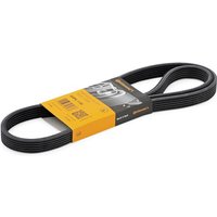 CONTITECH Keilrippenriemen 6DPK1195 Rippenriemen VW,AUDI,FORD,Golf IV Schrägheck (1J1),Transporter V Bus (7HB, 7HJ, 7EB, 7EJ, 7EF, 7EG, 7HF, 7EC) CONTITECH Keilrippenriemen 6DPK1195 Rippenriemen VW,AUDI,FORD,Golf IV Schrägheck (1J1),Transporter V Bus (7HB, 7HJ, 7EB, 7EJ, 7EF, 7EG, 7HF, 7EC) von CONTITECH