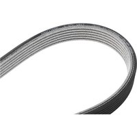 CONTITECH Keilrippenriemen 6DPK1817 Rippenriemen BMW,3 Touring (E91),3 Limousine (E90),5 Limousine (E60),1 Schrägheck (E87),5 Touring (E61),X3 (E83) CONTITECH Keilrippenriemen 6DPK1817 Rippenriemen BMW,3 Touring (E91),3 Limousine (E90),5 Limousine (E60),1 Schrägheck (E87),5 Touring (E61),X3 (E83) von CONTITECH