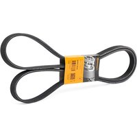 CONTITECH Keilrippenriemen 6DPK2215 Rippenriemen MERCEDES-BENZ,SPRINTER 3,5-t Kasten (906),VITO Bus (W639),VIANO (W639),VITO / MIXTO Kasten (W639) von CONTITECH