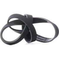 CONTITECH Keilrippenriemen 6PK1000 Rippenriemen VW,AUDI,MERCEDES-BENZ,Golf VII Schrägheck (5G1, BQ1, BE1, BE2),Polo Schrägheck (6R1, 6C1) CONTITECH Keilrippenriemen 6PK1000 Rippenriemen VW,AUDI,MERCEDES-BENZ,Golf VII Schrägheck (5G1, BQ1, BE1, BE2),Polo Schrägheck (6R1, 6C1) von CONTITECH