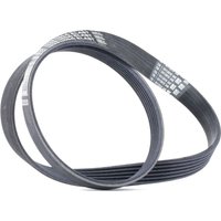 CONTITECH Keilrippenriemen 6PK1029 ELAST Rippenriemen FORD,Fiesta Mk6 Schrägheck (JA8, JR8),MONDEO IV Turnier (BA7),MONDEO IV (BA7),B-MAX (JK) CONTITECH Keilrippenriemen 6PK1029 ELAST Rippenriemen FORD,Fiesta Mk6 Schrägheck (JA8, JR8),MONDEO IV Turnier (BA7),MONDEO IV (BA7),B-MAX (JK) von CONTITECH