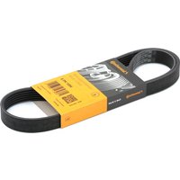 CONTITECH Keilrippenriemen 6PK1054 Rippenriemen VW,AUDI,OPEL,Golf V Schrägheck (1K1),GOLF VI (5K1),Polo Schrägheck (6R1, 6C1),Passat Variant (3C5) CONTITECH Keilrippenriemen 6PK1054 Rippenriemen VW,AUDI,OPEL,Golf V Schrägheck (1K1),GOLF VI (5K1),Polo Schrägheck (6R1, 6C1),Passat Variant (3C5) von CONTITECH