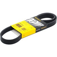 CONTITECH Keilrippenriemen 6PK1070 Rippenriemen VW,AUDI,OPEL,Golf V Schrägheck (1K1),POLO (9N_),TOURAN (1T1, 1T2),GOLF VI (5K1) CONTITECH Keilrippenriemen 6PK1070 Rippenriemen VW,AUDI,OPEL,Golf V Schrägheck (1K1),POLO (9N_),TOURAN (1T1, 1T2),GOLF VI (5K1) von CONTITECH