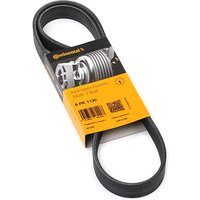 CONTITECH Keilrippenriemen 6PK1130 Rippenriemen VW,AUDI,MERCEDES-BENZ,Golf VII Schrägheck (5G1, BQ1, BE1, BE2),Polo Schrägheck (6R1, 6C1) CONTITECH Keilrippenriemen 6PK1130 Rippenriemen VW,AUDI,MERCEDES-BENZ,Golf VII Schrägheck (5G1, BQ1, BE1, BE2),Polo Schrägheck (6R1, 6C1) von CONTITECH