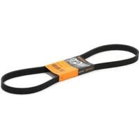 CONTITECH Keilrippenriemen 6PK1153 Rippenriemen VW,OPEL,BMW,GOLF III (1H1),New Beetle Cabrio (1Y7),Lupo (6X1, 6E1),Golf III Cabrio (1E7) CONTITECH Keilrippenriemen 6PK1153 Rippenriemen VW,OPEL,BMW,GOLF III (1H1),New Beetle Cabrio (1Y7),Lupo (6X1, 6E1),Golf III Cabrio (1E7) von CONTITECH