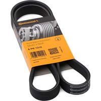 CONTITECH Keilrippenriemen 6PK1210 Rippenriemen RENAULT,HYUNDAI,PEUGEOT,CLIO II (BB0/1/2_, CB0/1/2_),KANGOO (KC0/1_),KANGOO Express (FC0/1_) CONTITECH Keilrippenriemen 6PK1210 Rippenriemen RENAULT,HYUNDAI,PEUGEOT,CLIO II (BB0/1/2_, CB0/1/2_),KANGOO (KC0/1_),KANGOO Express (FC0/1_) von CONTITECH