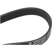 CONTITECH Keilrippenriemen 6PK1264 Rippenriemen VW,AUDI,FORD,Golf IV Schrägheck (1J1),Transporter V Bus (7HB, 7HJ, 7EB, 7EJ, 7EF, 7EG, 7HF, 7EC) CONTITECH Keilrippenriemen 6PK1264 Rippenriemen VW,AUDI,FORD,Golf IV Schrägheck (1J1),Transporter V Bus (7HB, 7HJ, 7EB, 7EJ, 7EF, 7EG, 7HF, 7EC) von CONTITECH
