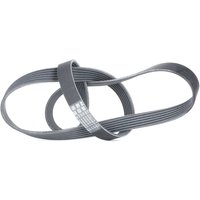 CONTITECH Keilrippenriemen 6PK1310 Rippenriemen OPEL,FORD,FIAT,Astra H Schrägheck (A04),Astra H Caravan (A04),Astra H GTC (A04),ASTRA H Kasten (L70) CONTITECH Keilrippenriemen 6PK1310 Rippenriemen OPEL,FORD,FIAT,Astra H Schrägheck (A04),Astra H Caravan (A04),Astra H GTC (A04),ASTRA H Kasten (L70) von CONTITECH