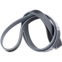 CONTITECH Keilrippenriemen 6PK1538 Rippenriemen VW,OPEL,BMW,Golf IV Schrägheck (1J1),Golf IV Variant (1J5),Bora Limousine (1J2),Bora Variant (1J6) von CONTITECH