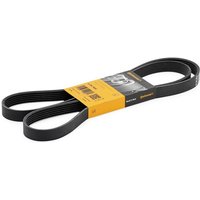 CONTITECH Keilrippenriemen 6PK1642 Rippenriemen VW,MERCEDES-BENZ,BMW,LT 28-46 II Kastenwagen (2DA, 2DD, 2DH),LT 28-35 II Bus (2DB, 2DE, 2DK) CONTITECH Keilrippenriemen 6PK1642 Rippenriemen VW,MERCEDES-BENZ,BMW,LT 28-46 II Kastenwagen (2DA, 2DD, 2DH),LT 28-35 II Bus (2DB, 2DE, 2DK) von CONTITECH