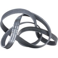 CONTITECH Keilrippenriemen 6PK1685 Rippenriemen VW,OPEL,BMW,LT 28-46 II Kastenwagen (2DA, 2DD, 2DH),LT 28-35 II Bus (2DB, 2DE, 2DK) CONTITECH Keilrippenriemen 6PK1685 Rippenriemen VW,OPEL,BMW,LT 28-46 II Kastenwagen (2DA, 2DD, 2DH),LT 28-35 II Bus (2DB, 2DE, 2DK) von CONTITECH