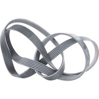 CONTITECH Keilrippenriemen 6PK1705 Rippenriemen AUDI,MERCEDES-BENZ,OPEL,100 Limousine (4A2, C4),100 Avant (4A5, C4),C-Klasse Limousine (W204) CONTITECH Keilrippenriemen 6PK1705 Rippenriemen AUDI,MERCEDES-BENZ,OPEL,100 Limousine (4A2, C4),100 Avant (4A5, C4),C-Klasse Limousine (W204) von CONTITECH