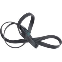 CONTITECH Keilrippenriemen 6PK1710 Rippenriemen MERCEDES-BENZ,OPEL,RENAULT,C-Klasse Limousine (W204),C-Klasse T-modell (S204) CONTITECH Keilrippenriemen 6PK1710 Rippenriemen MERCEDES-BENZ,OPEL,RENAULT,C-Klasse Limousine (W204),C-Klasse T-modell (S204) von CONTITECH