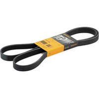 CONTITECH Keilrippenriemen 6PK1740 Rippenriemen FORD,FIAT,HYUNDAI,FOCUS (DAW, DBW),Focus Mk1 Kasten / Kombi (DNW),COURIER Pick-up J3 J5,Ulysse (179_) CONTITECH Keilrippenriemen 6PK1740 Rippenriemen FORD,FIAT,HYUNDAI,FOCUS (DAW, DBW),Focus Mk1 Kasten / Kombi (DNW),COURIER Pick-up J3 J5,Ulysse (179_) von CONTITECH