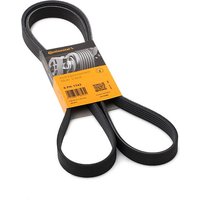 CONTITECH Keilrippenriemen 6PK1743 Rippenriemen FORD,PEUGEOT,CITROËN,MONDEO IV Turnier (BA7),S-MAX (WA6),GALAXY (WA6),MONDEO IV (BA7) CONTITECH Keilrippenriemen 6PK1743 Rippenriemen FORD,PEUGEOT,CITROËN,MONDEO IV Turnier (BA7),S-MAX (WA6),GALAXY (WA6),MONDEO IV (BA7) von CONTITECH