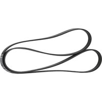 CONTITECH Keilrippenriemen 6PK1885 Rippenriemen AUDI,MERCEDES-BENZ,PEUGEOT,A4 Avant (8ED, B7),A4 Avant (8E5, B6),A4 Limousine (8E2, B6) CONTITECH Keilrippenriemen 6PK1885 Rippenriemen AUDI,MERCEDES-BENZ,PEUGEOT,A4 Avant (8ED, B7),A4 Avant (8E5, B6),A4 Limousine (8E2, B6) von CONTITECH