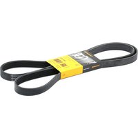 CONTITECH Keilrippenriemen 6PK1893 Rippenriemen OPEL,BMW,FORD,Astra J Sports Tourer (P10),ZAFIRA TOURER C (P12),ANTARA,Astra J Kasten / Kombi (P10) CONTITECH Keilrippenriemen 6PK1893 Rippenriemen OPEL,BMW,FORD,Astra J Sports Tourer (P10),ZAFIRA TOURER C (P12),ANTARA,Astra J Kasten / Kombi (P10) von CONTITECH